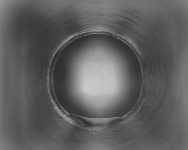 X0000073861134200608241102