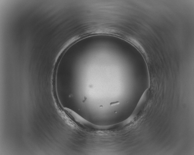 X0000073861138200608241102