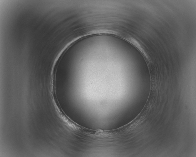 X0000073861140200608241102