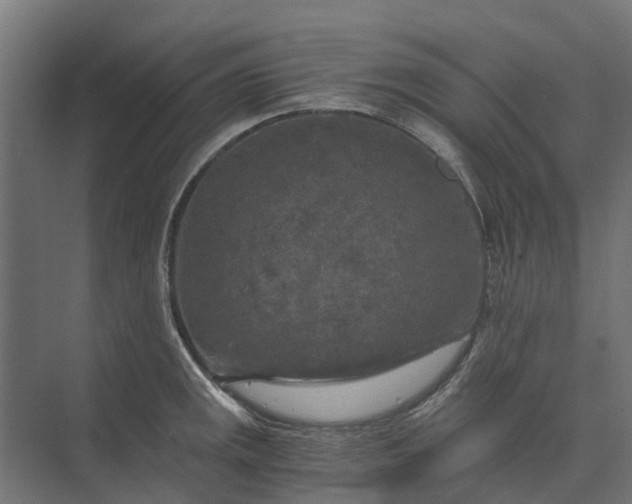 X0000073861141200608241102