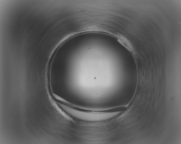 X0000073861142200608241102