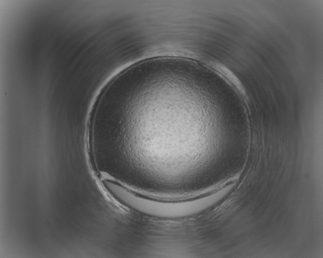 X0000073861144200608241102