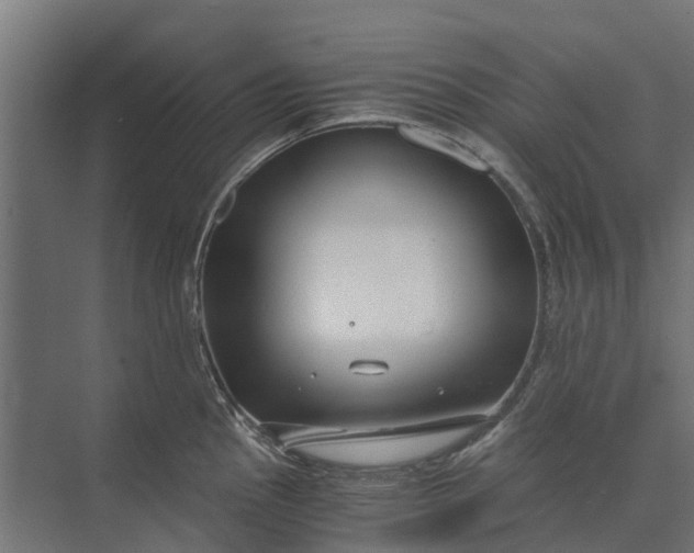 X0000073861145200608241102