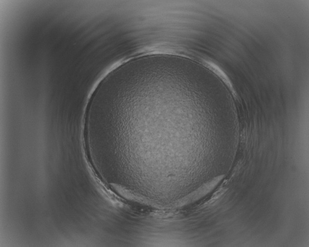 X0000073861146200608241102