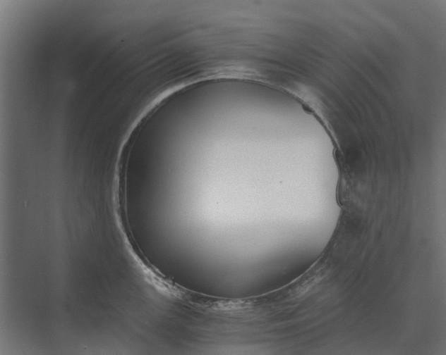 X0000073861147200608241102