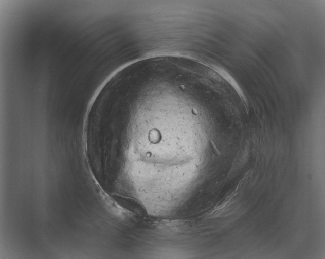 X0000073861148200608241102