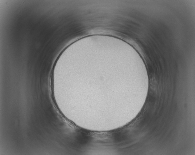 X0000073861150200608241102