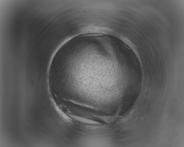 X0000073861152200608241102