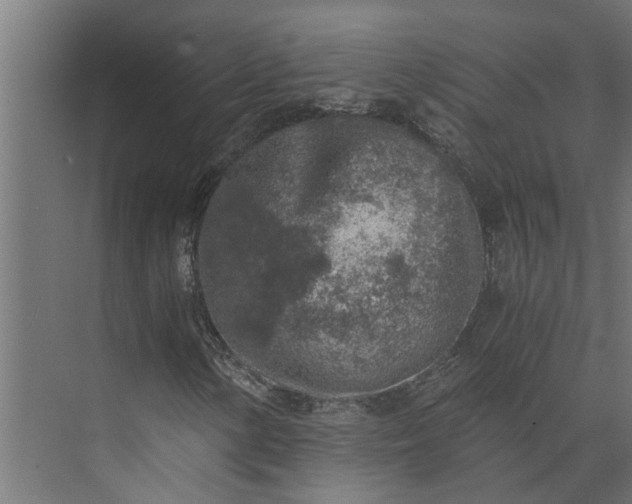 X0000073861154200608241101