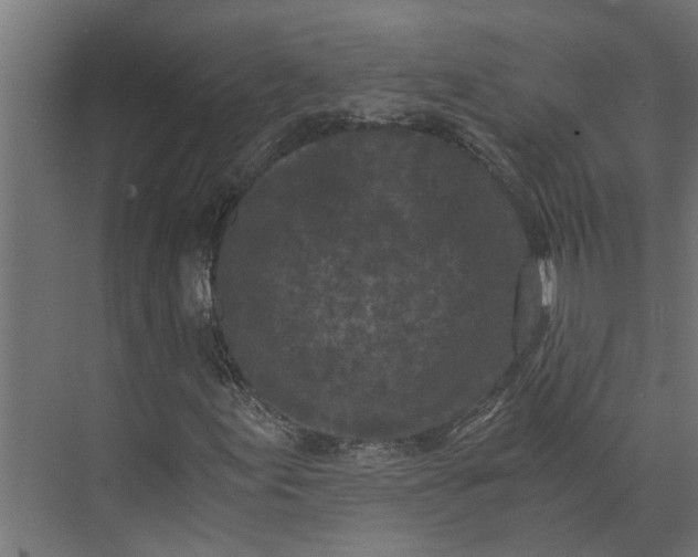 X0000073861155200608241101