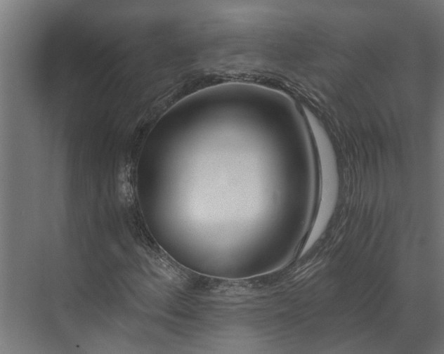 X0000073861156200608241101