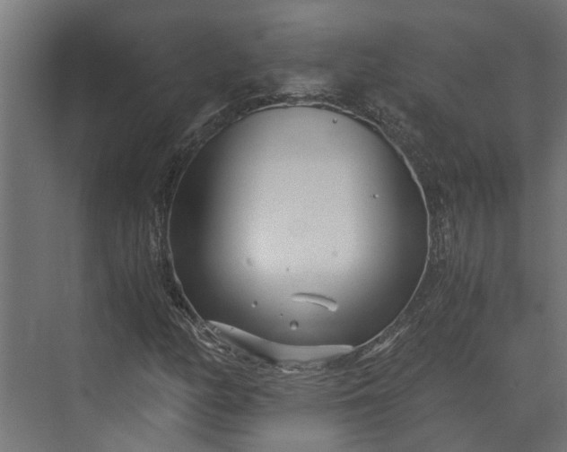 X0000073861158200608241101