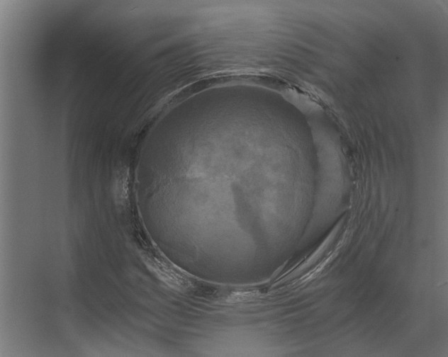 X0000073861161200608241101