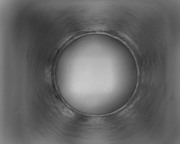 X0000073861162200608241101