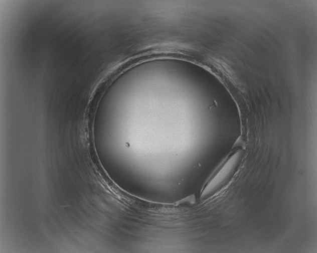 X0000073861164200608241101