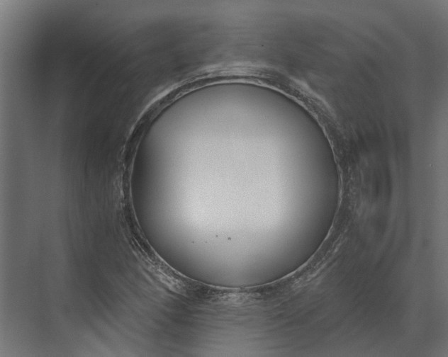 X0000073861166200608241101