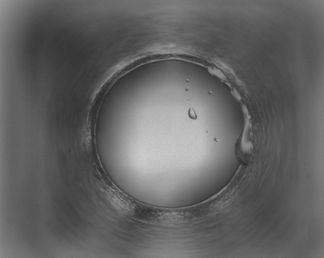 X0000073861167200608241101