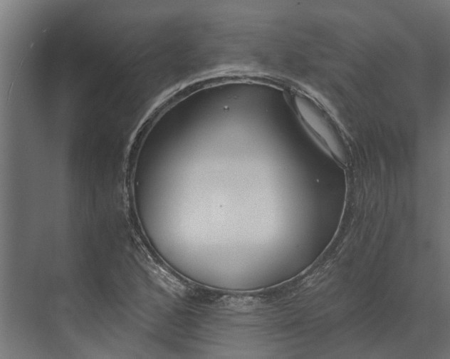 X0000073861168200608241101