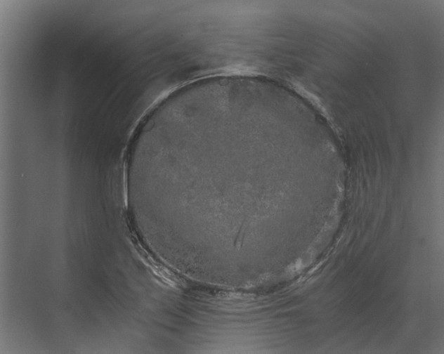 X0000073861171200608241101