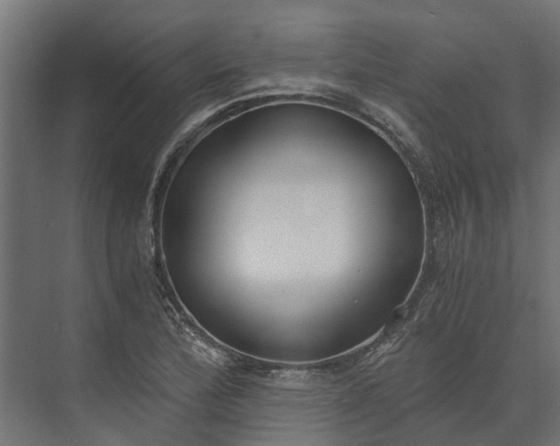 X0000073861172200608241101