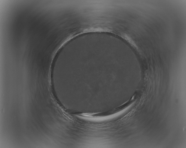 X0000073861173200608241101