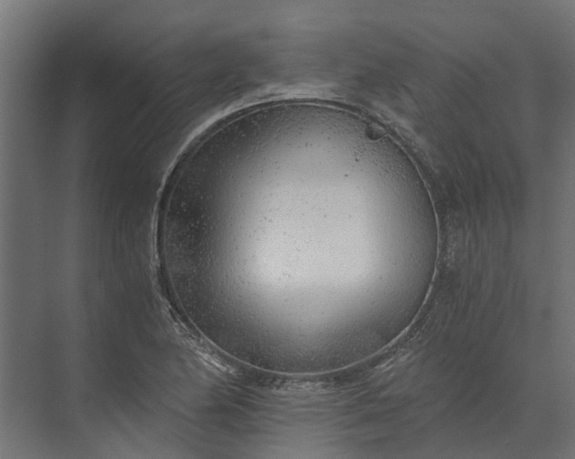 X0000073861174200608241101