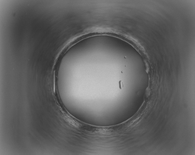 X0000073861175200608241101