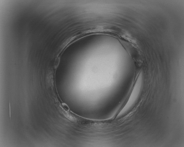 X0000073861177200608241101