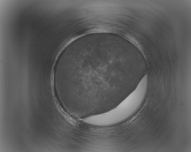 X0000073861179200608241101