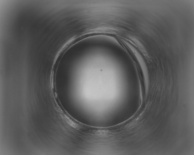 X0000073861180200608241101