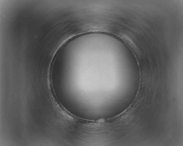 X0000073861182200608241101