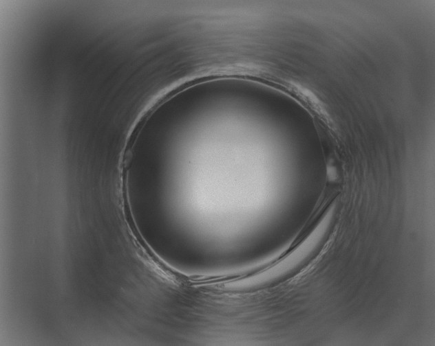 X0000073861184200608241101