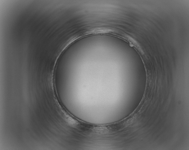 X0000073861186200608241100