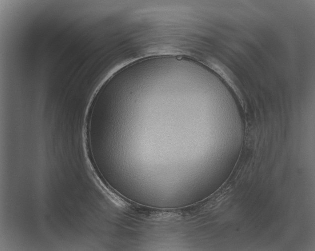 X0000073861187200608241100