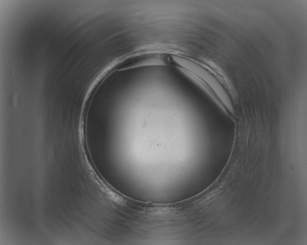 X0000073861188200608241100