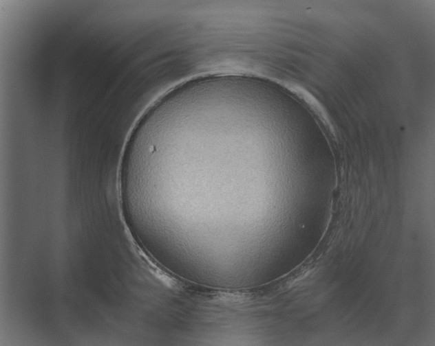 X0000073861191200608241100