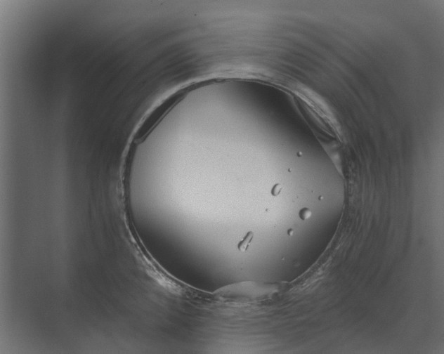 X0000073861192200608241100