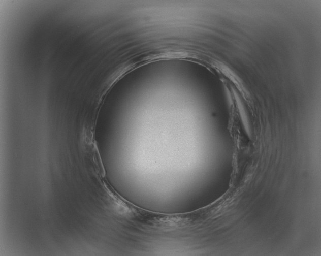 X0000073861193200608241100