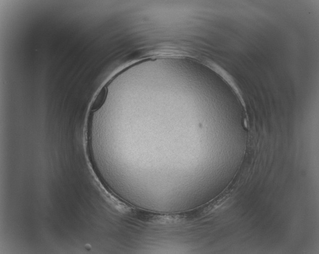 X0000073861195200608241100