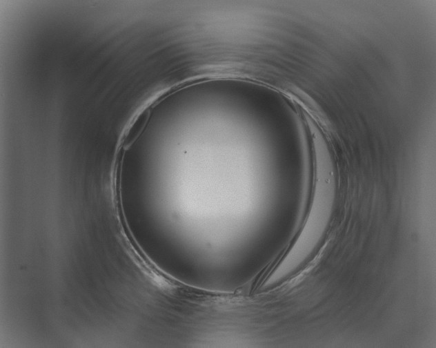 X0000073861196200608241100