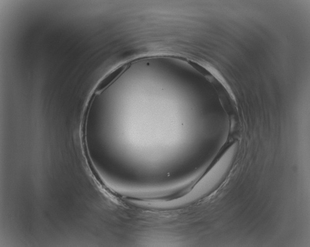 X0000073861197200608241100