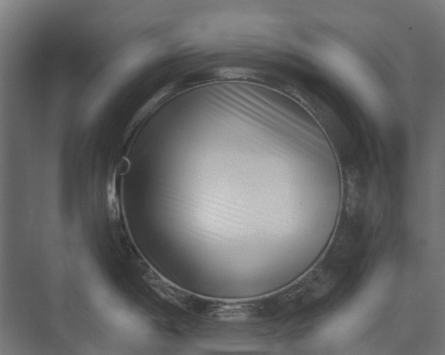 X0000073861198200608241100