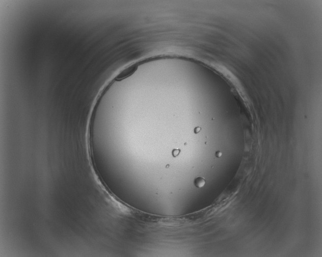 X0000073861199200608241100