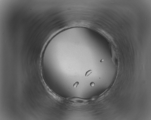 X0000073861200200608241100