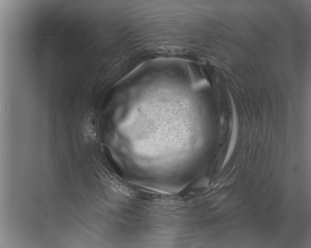 X0000073861202200608241059