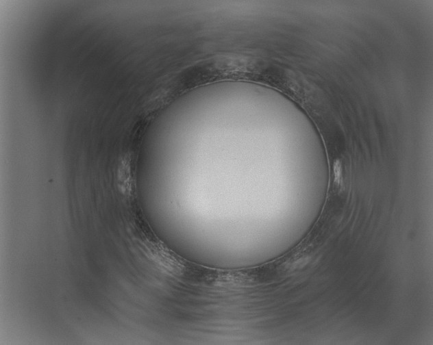 X0000073861203200608241059