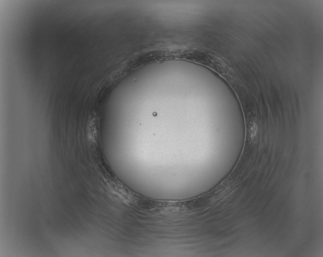 X0000073861204200608241059