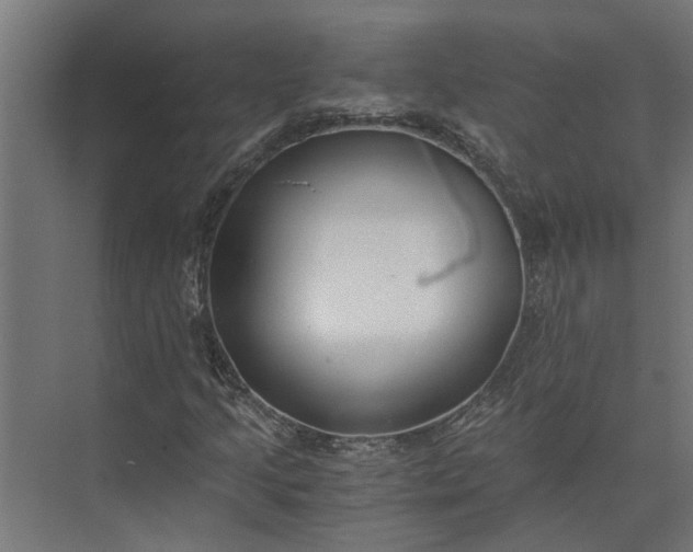 X0000073861205200608241059