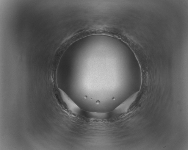 X0000073861206200608241100