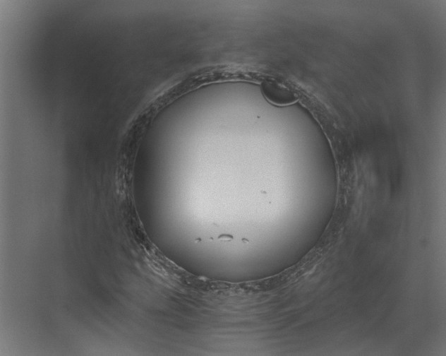 X0000073861207200608241100